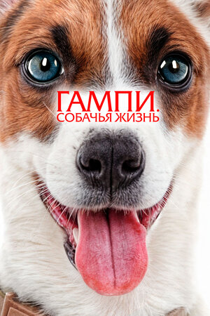 Невероятные приключения Гампи 2 смотреть онлайн бесплатно