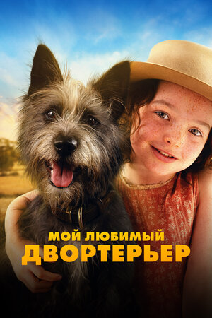 Мой любимый двортерьер смотреть онлайн бесплатно